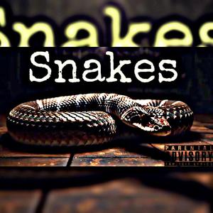 Snakes (feat. JayKhasoDream) [Explicit]