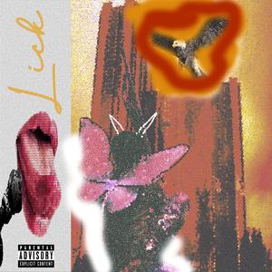 liCC (Explicit)