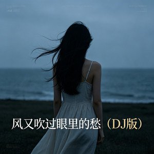 风又吹过眼里的愁 (DJ版)