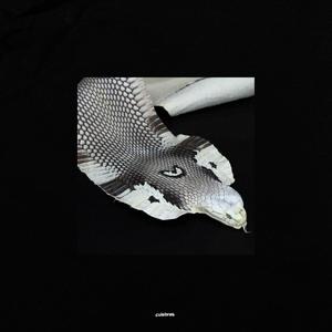 Culebras(feat. Mesky M) (Explicit)