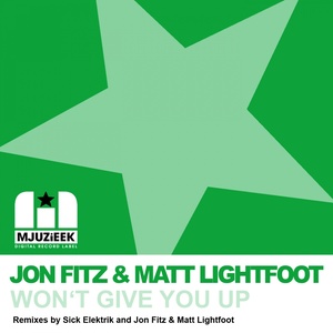 Won't Give You Up (Original Mix)