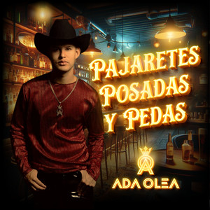 Pajaretes, posadas y pedas (Cover)