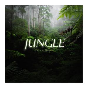 Jungle