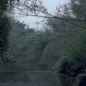 silence
