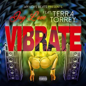 ViBrate (feat. Terra Torrey) (Explicit)