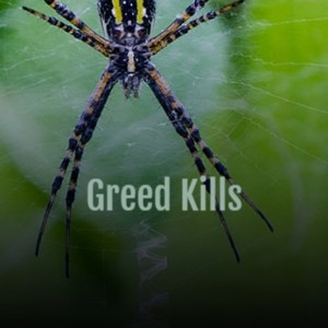 Greed Kills