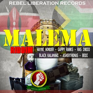 Malema Riddim (Rebel Liberation Records Presents) [Explicit]