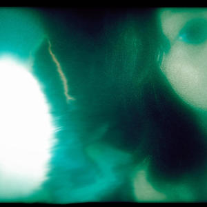 fireflies