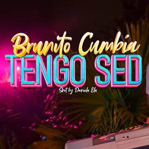 Tengo sed (feat. VLC & ElPachePerro) [Explicit]