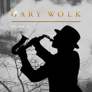 Gary Wolk - Into the Sunset