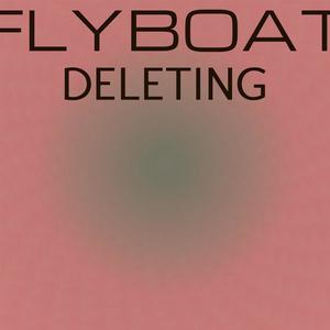 Flyboat Deleting