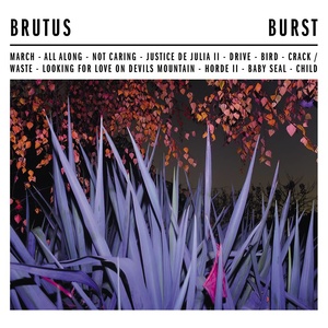 Burst