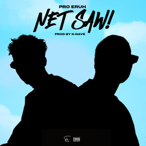 NET SAW! (Explicit)