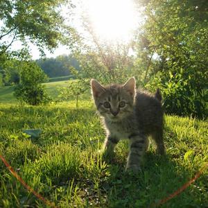 2 steps closer (feat. Corvid)