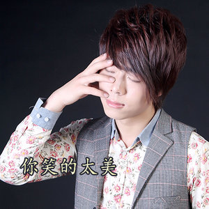 你笑的太美
