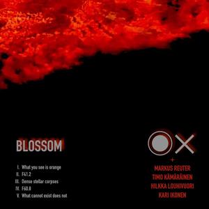 Blossom(feat. Markus Reuter, Timo Kämäräinen, Hilkka Louhivuori & Kari Ikonen)