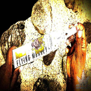 if he talking down ima hit em w the flying monkey (feat. 6en) (Explicit)