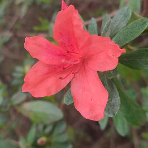 Ugly (Road Runner) (Explicit)