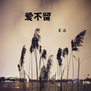爱不留封面