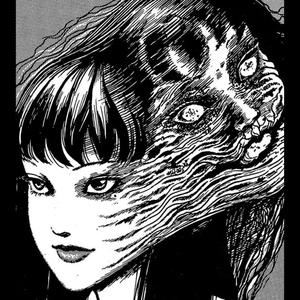 BLOSSOMING IN HOKKAIDO