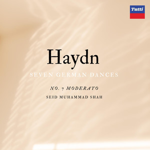 Haydn SGD - Moderatto No.7
