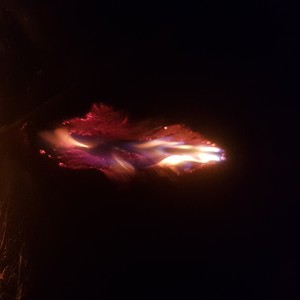 MJ BEATS - Gentleman (Explicit)