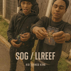 SOG / LLREEF (Explicit)