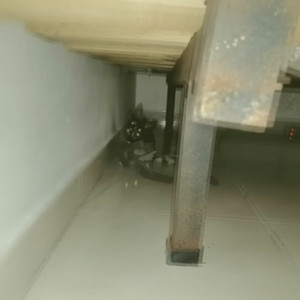 orqxhestra (Explicit)