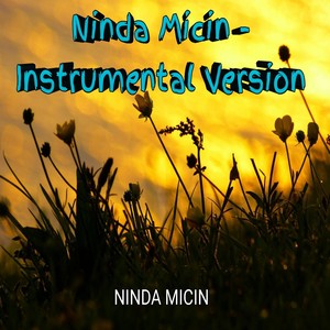 Ninda Micin (Instrumental Version)