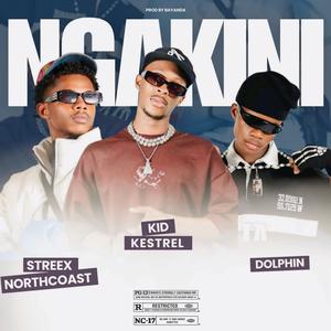NGAKINI (feat. Streex Northcoast & Dolphin no Ntshebzin|Explicit)