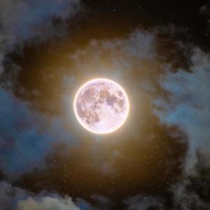 I'm Only Human (Explicit)