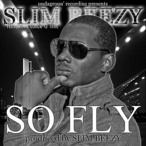 So Fly(feat. Usher & Tinie)