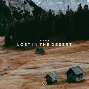 Lost In The Desert