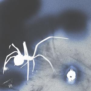 IMPORTANT (Explicit)