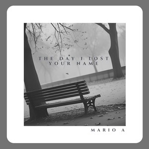 The Day I Lost Your Name