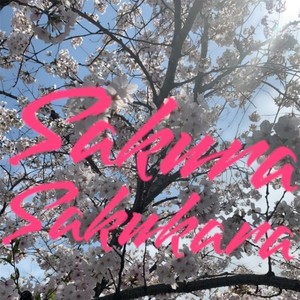 さくら咲くから