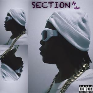 Section (Explicit)