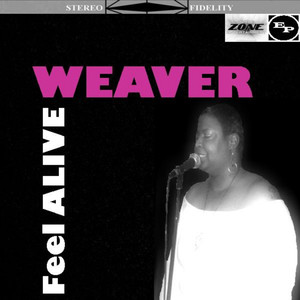 Flying High (DJ Punch Remix)