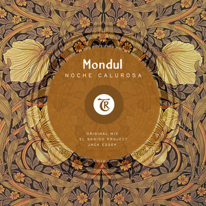 Noche Calurosa (El Sonido Project Remix)