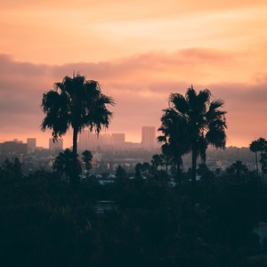 Major (Instrumental Version)