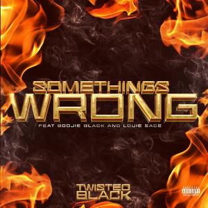 Somethings Wrong (feat. Boojie Black & Louie Sace) [Explicit]