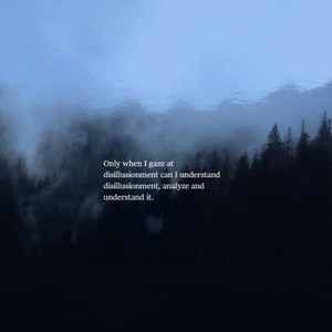 OnlyWhenIGazeAtDisillusionmentCanIUnderstandIt