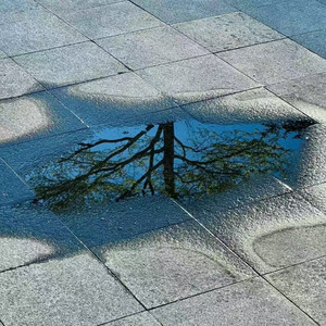 自从有了你 (微醺版)