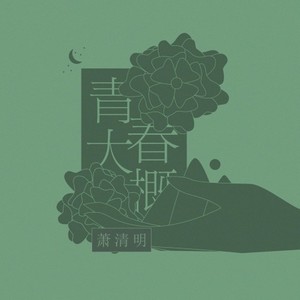 青春大概封面