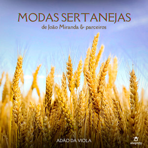 Modas Sertanejas de João Miranda & Parceiros