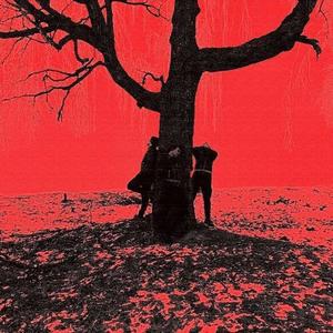 Цветы в снегу