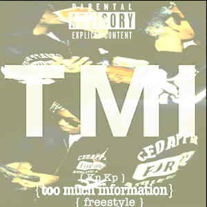 Too Much Information Freestyle (Explicit)