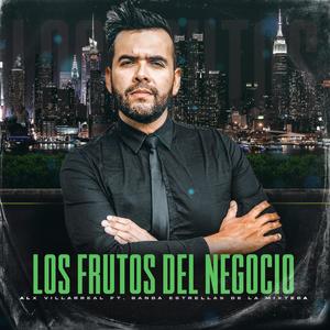 Los Frutos Del Negocio (feat. banda estrellas de la mixteca oficial) (Radio Edit)