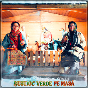 Busuioc Verde Pe Masă