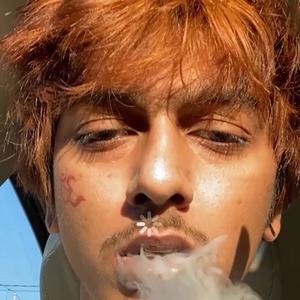 Lil Resh Fronto - Toxic Pt2 (Explicit)